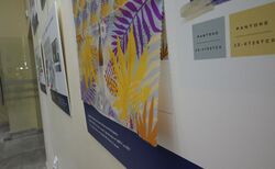 ruse22_250x154_crop_478b24840a