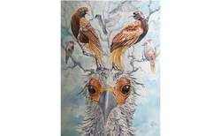 img-5379_250x154_crop_478b24840a