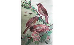 img-5459_250x154_crop_478b24840a