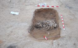 2-cremated-burial-at-the-west-cemetery_250x154_crop_478b24840a