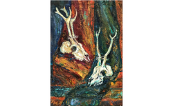 img-e6785_250x154_crop_478b24840a