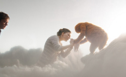 image-05_250x154_crop_478b24840a