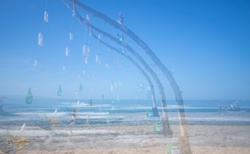 286306099-10158852187969109-7573564227507999809-n_250x154_crop_478b24840a