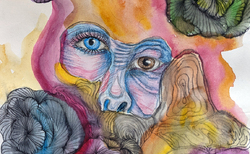 useshtane-za-liato-7_250x154_crop_478b24840a