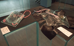 342786105-3426671164217616-317670624165120764-n_250x154_crop_478b24840a