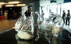 343005010-6237004843073696-3727946915411978193-n_250x154_crop_478b24840a