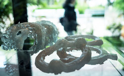 343580014-667237552026026-7323212989205620706-n_250x154_crop_478b24840a