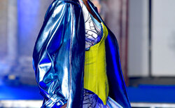 dsc0250_250x154_crop_478b24840a