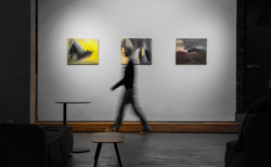 angelika-radeva-nbu-02_250x154_crop_478b24840a