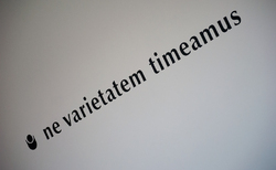 dsc0160-04_250x154_crop_478b24840a