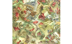 g2_250x154_crop_478b24840a