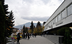 dsc0009_250x154_crop_478b24840a