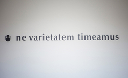 img-0049-copy_250x154_crop_478b24840a