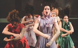 renana1_250x154_crop_478b24840a