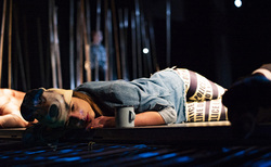 dsc09029_250x154_crop_478b24840a