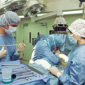 medicine-students-unsplash_280x280_crop_478b24840a