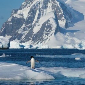 antarktida-esgnews-bg_280x280_crop_478b24840a