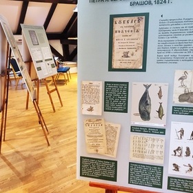 riben-bukvar-pronewsdobrich-bg_280x280_crop_478b24840a