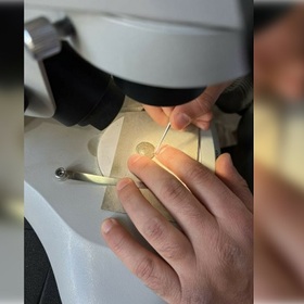 rimska-bronzova-moneta-bta_280x280_crop_478b24840a