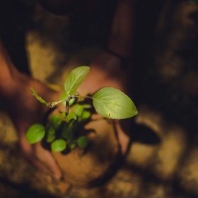 kasturi-laxmi-mohit-uv6l-uo-nd19w-unsplash_280x280_crop_478b24840a