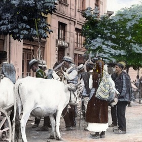 istoriqta-na-sofia-citybuild-bg_280x280_crop_478b24840a