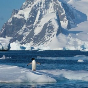 036-antarktida-esgnews-bg-678x410-crop-478b24840a-678x410-crop-478b24840a_280x280_crop_478b24840a