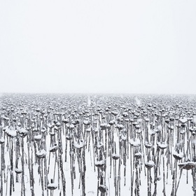 mejdunaroden-fotofestival-bta_280x280_crop_478b24840a