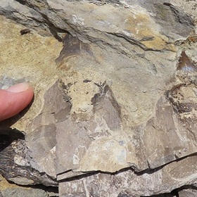 048_280x280_crop_478b24840a