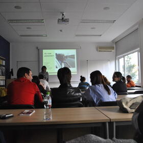 1_280x280_crop_478b24840a