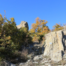 archeology1_280x280_crop_478b24840a