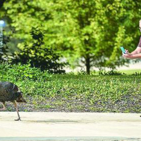 puqk_280x280_crop_478b24840a