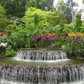 botaniceska_280x280_crop_478b24840a