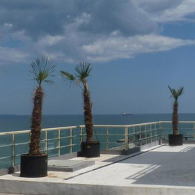 burgas_280x280_crop_478b24840a