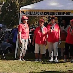 pcela_280x280_crop_478b24840a