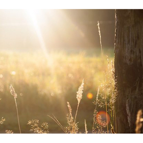 17_280x280_crop_478b24840a