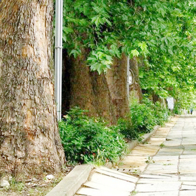 photo-7_280x280_crop_478b24840a