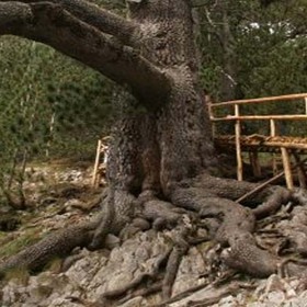 mura_280x280_crop_478b24840a