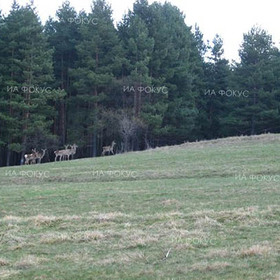 nikolov_280x280_crop_478b24840a