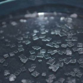 kiselo_280x280_crop_478b24840a