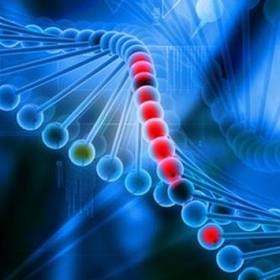 studenti-biologiq_280x280_crop_478b24840a