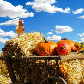 mlad-fermer_280x280_crop_478b24840a