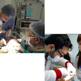 novostite-v-dentalnata_280x280_crop_478b24840a