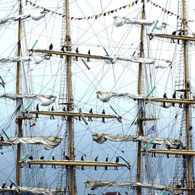 dirq-v-moreto_280x280_crop_478b24840a