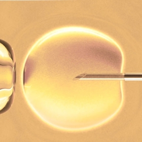 in-vitro-novini-bg1_280x280_crop_478b24840a