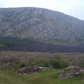 nedoocenenoto-planinsko_280x280_crop_478b24840a