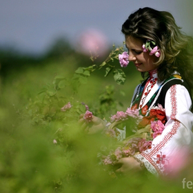 kakvi-zaplati-vzimat-razlichnite-specialisti_280x280_crop_478b24840a