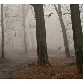 suvremenna-konceptualna-fotografiq_280x280_crop_478b24840a