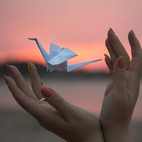 koral10-768x543_280x280_crop_478b24840a
