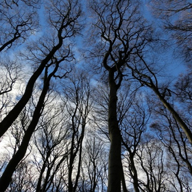 predstoi_280x280_crop_478b24840a