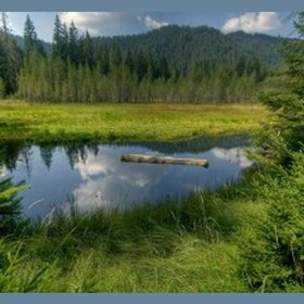 zapocva-petoto_280x280_crop_478b24840a